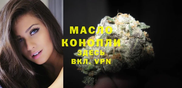 дурь Дмитриев