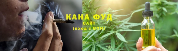 дурь Дмитриев