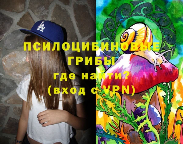 PSILOCYBIN Михайловка