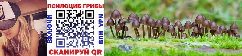 Галлюциногенные грибы прущие грибы Рошаль