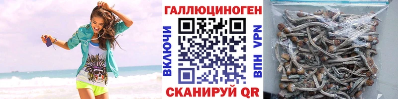 Псилоцибиновые грибы Magic Shrooms  что такое   Рошаль 